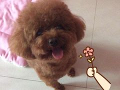 -沐泷泉(南风大剧院店)