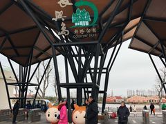 -上海长兴岛郊野公园