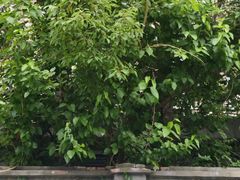 -小小特工运动馆(宝山三邻桥中心)