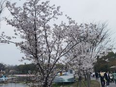 -上海杨姆庄园