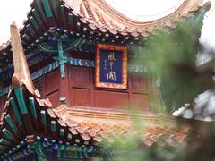 -戏马台景区