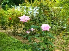 -国家植物园南园