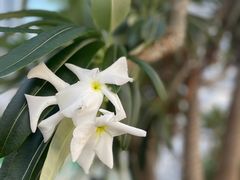 -北京植物园-展览温室