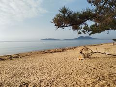 -烟墩角天鹅湖