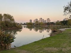 -九里河湿地公园