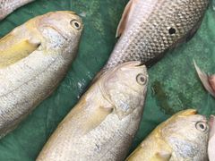 -龚家花园农家乐休闲别墅
