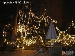 夜色中的花园-老洋房花园饭店(绍兴路店)