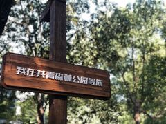 -上海共青森林公园