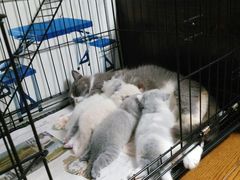 -上海市长宁区天山中医医院