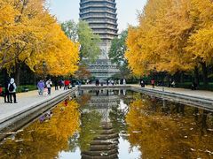-玲珑塔公园