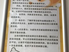 -灵美宠物诊所