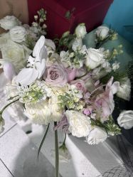 -城市花园婚纱摄影