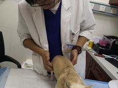 -美联众合动物医院·24h转诊中心