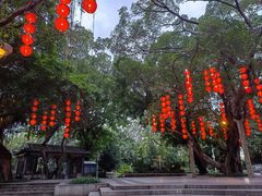 -荔湾湖公园
