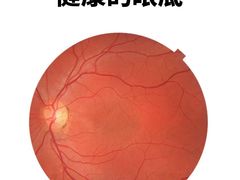 -诺柯视眼镜-蔡司依视路官方工厂店(淞南一店)