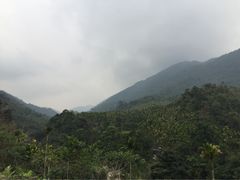 吊罗山国家森林公园-海南热带雨林国家公园吊罗山景区