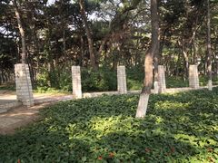 -长春市南湖公园