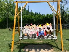 -前小桔亲子创意农场·草莓采摘·露营烧烤