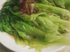 -百利鸽王(紫薇路店)