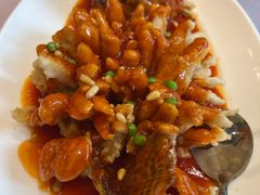松鼠桂鱼-顺风海鲜港(金玉兰店)