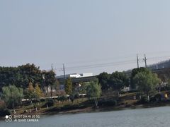 -羊山湖公园