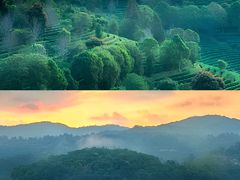 -无量山自然风景保护区