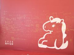 -龙湖南京江北天街