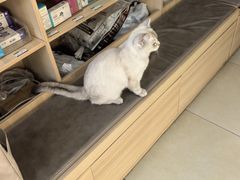 -宠福鑫康馨动物医院·骨科·眼科