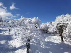 -太子岭滑雪场