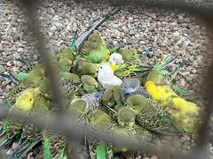 -蓝地时尚庄园(北京清河营地铁站店)