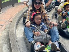 -圣淘沙天际线斜坡滑车