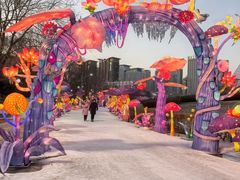 -沈阳奥体冰雪嘉年华