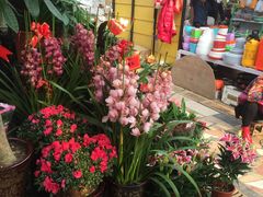 -秦美花卉(天朗·莱茵小城2期店)