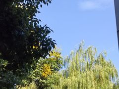 -Beans Solo豆号咖啡(百家湖花园店)