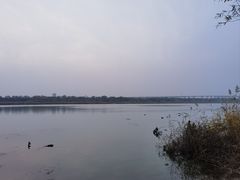 -绿堤公园