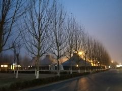 -九十九顶毡房(阜石路店)