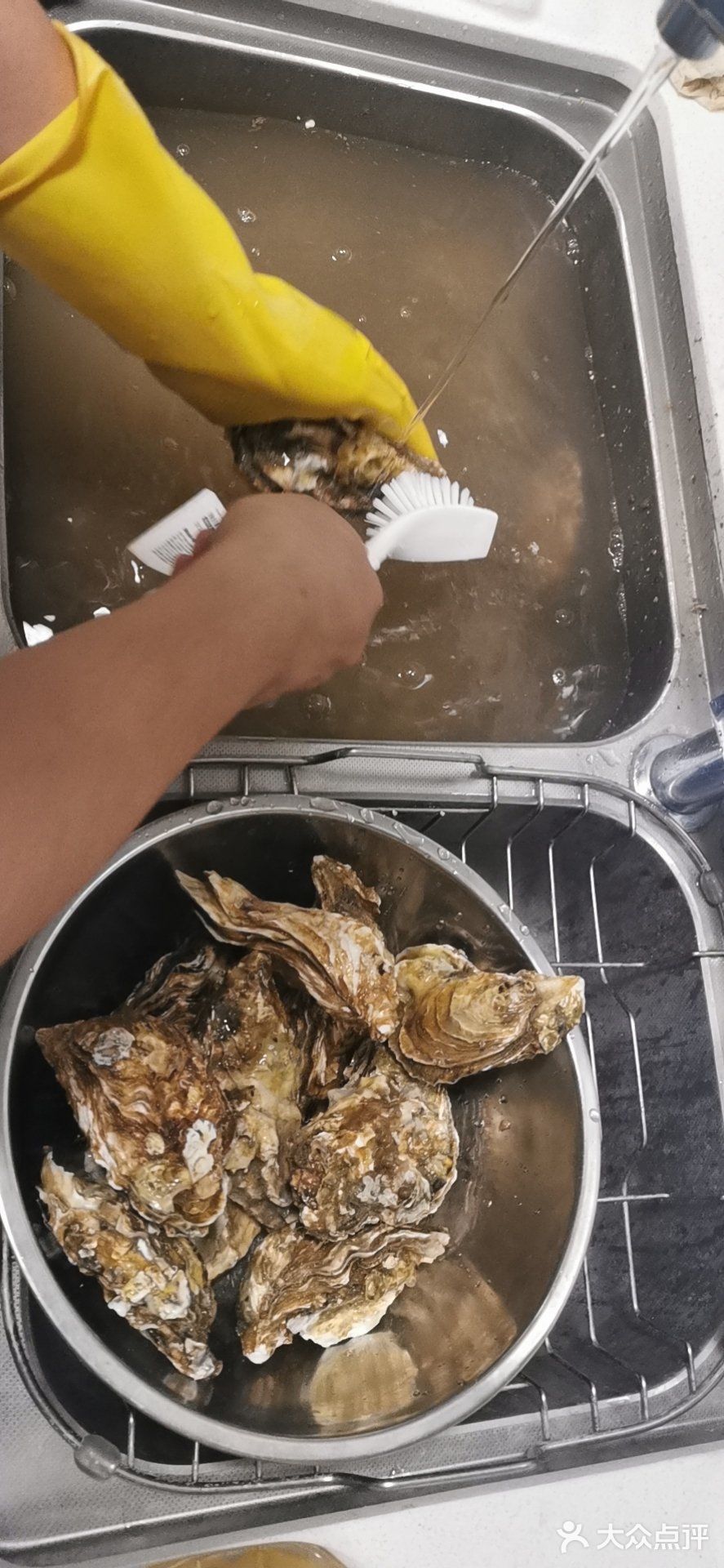 在家敞开肚子吃生蚝