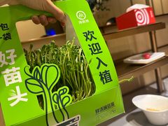 -海底捞火锅(九霄梦天地店)