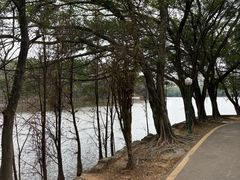 -三水森林公园