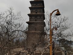 -九华山公园