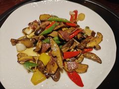 -滇野云南野生菌餐厅(陕西南路店)