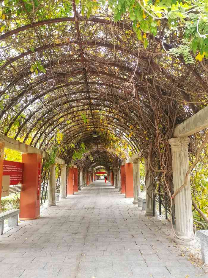 碧海公园-"交通:公园位于酒就大兴旧宫,北门有停车场.