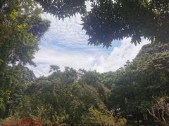 -灵光寺