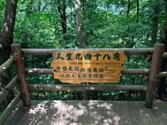 -天目湖山水园