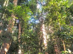 -武吉知马自然保护区