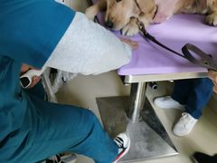 -康成宠物医院24H·CT·核磁共振