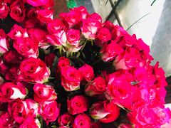 -参差咖啡(水果湖公园店)