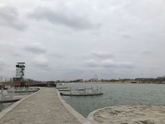 -金沙湖旅游度假区