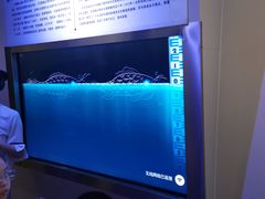 -白鹤梁水下博物馆