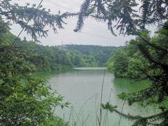 -铁山坪森林公园